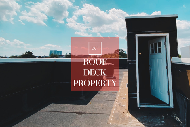 Roof Deck - OCP - Brand New Bright 1 Bed 1 Bath With Shared ROOF DECK
