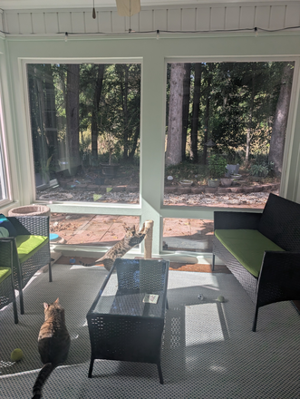 Sunroom - Room for rent in townhouse