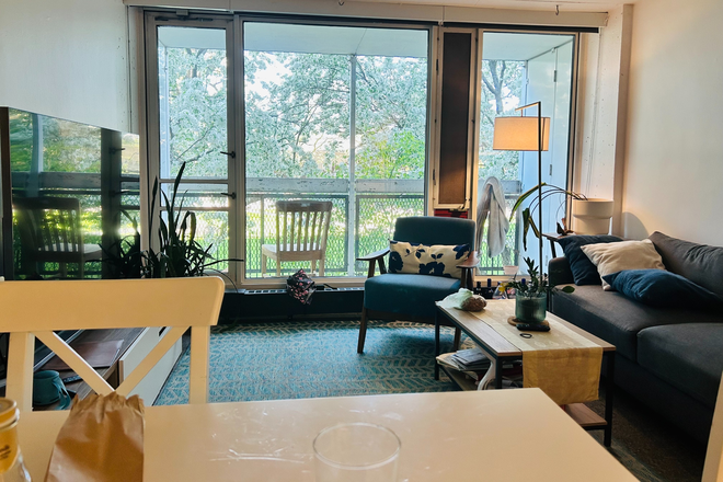 Living room-1 - Cosy Apartment Sublet in Peabody Terrace of HUH, ideal for summer programs