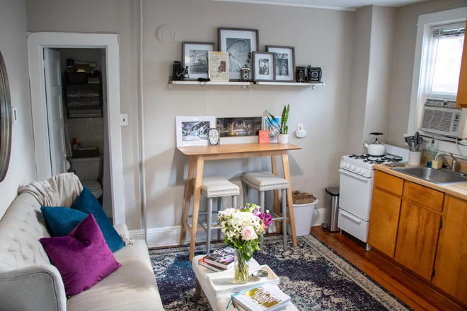 Kitchen / Living Room - 1BR Apt-Spruce St-Princeton