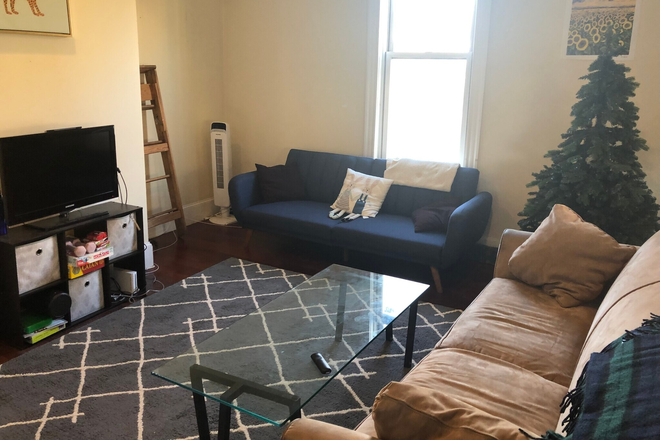 Living Room - 1550 Tremont Street Unit 3 Apartments