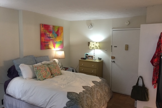 Bedroom - Sunny & Quiet Furnished Studio Apartment with Rooftop Pool