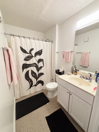 Bathroom - Courtyards UMD