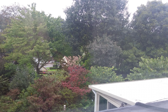 View from kitchen window - Studio Apartment over a Garage