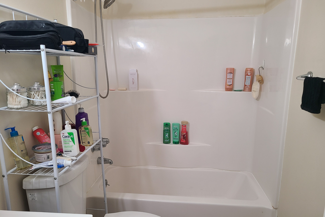 Bathroom: Each person has a shelf space over the toilet, space behind mirror, and space in shower area - 2 rooms for Rent in 4b2b House