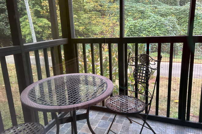 View from screen porch - Emory Chase 3 bed/2 bath Condo