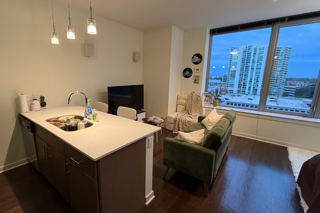 Kitchen and Living Room view - Summer Sublet: Studio at E2 (full amentity building) only a 10 minute walk from campus