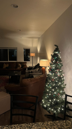 Living room - Newly built spacious townhouse