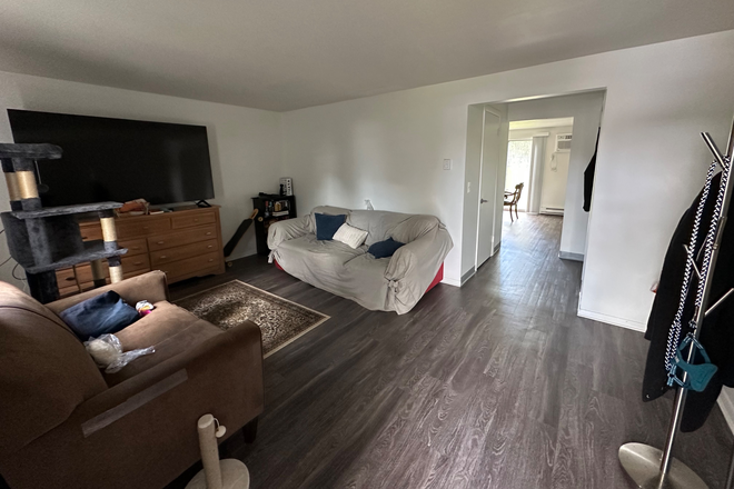 Living room - The Social Amherst