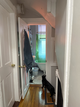 Hallway/bathroom/my cat - Garden Apartment in Beacon Hill