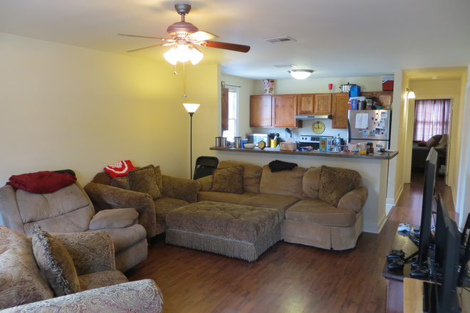 Living Room - Apartment next to Tulane