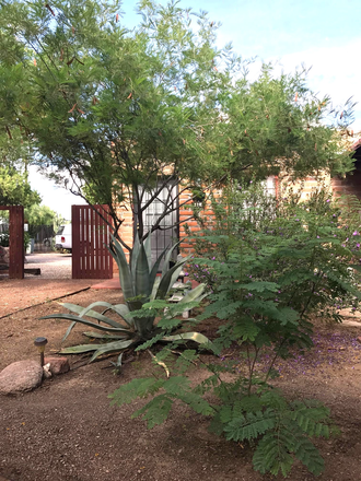 common area courtyard - ✨One Bedroom House Adobe Casita ✨Small Historic Complex Near Downtown ✨Hidden Gem✨Mercado / Street