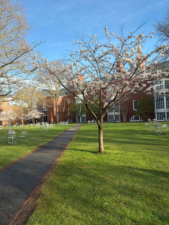 HBS Gardens - Soldiers Field Park 2 Apartments