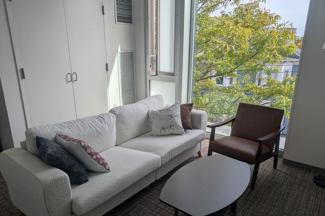 Living room (or second bedroom) - Winter Sublet Near Harvard Square — Fully Furnished 1-Bedroom (Convertible to 2-Bedroom) Apartments