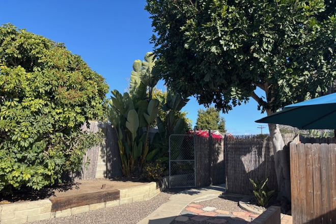 Backyard - Cozy comfortable two-bedroom house.