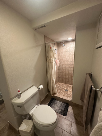 Downstairs bathroom - 4125 Gilpin Dr