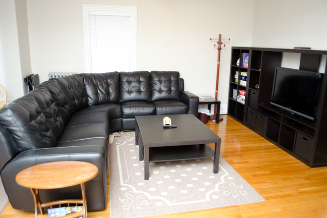 Living Room - Spacious 3BR & 2BA in Allston (near Packards Corner)