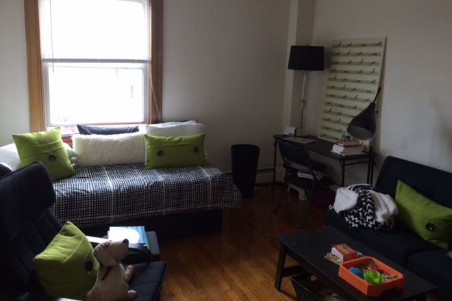 bedroom and living room - Center of town, 1 bedroom, hardwood flrs, beautiful bright apartment, avail. 7/1/2026