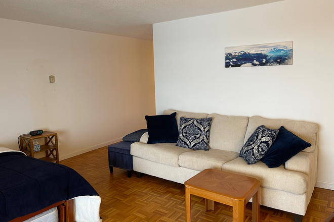 living space - Large, bright furnished studio in beautiful Jamaica Plain  neighborhood,  24h security, gym, pool Apartments