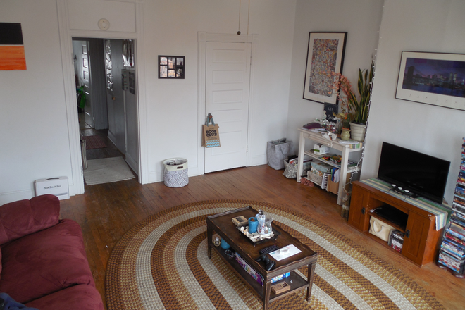 Frontroom entrance from hallway - Affordable Furnished Apartment within the Johns Hopkins Campus Security Patrol Zone