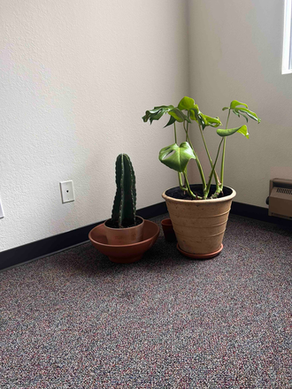 living room - $1600, Fall 25/26 Grad Sublet Available - Palo Verde- in 2bed/1.5 Bath!