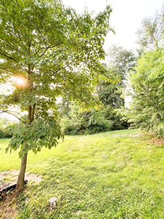 Backyard view - House about a 15 minute drive to liberty, Walmart, bojangles, Taco Bell are 3 mins away