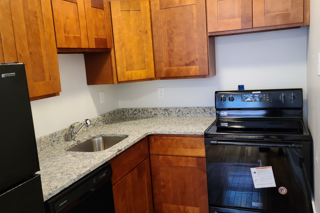 kitchen - Sunny Brighton pet friendly 1 bed for 9/1 - NO FEE! Apartments