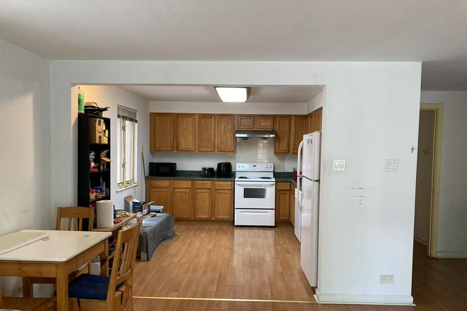 Big Kitchen - 804 s Leavitt street, Chicago, IL 60612 Condo