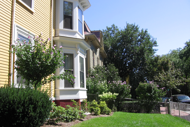 Outside garden - Furnished Room in Elegant Cambridge Home (near Harvard Sq.)