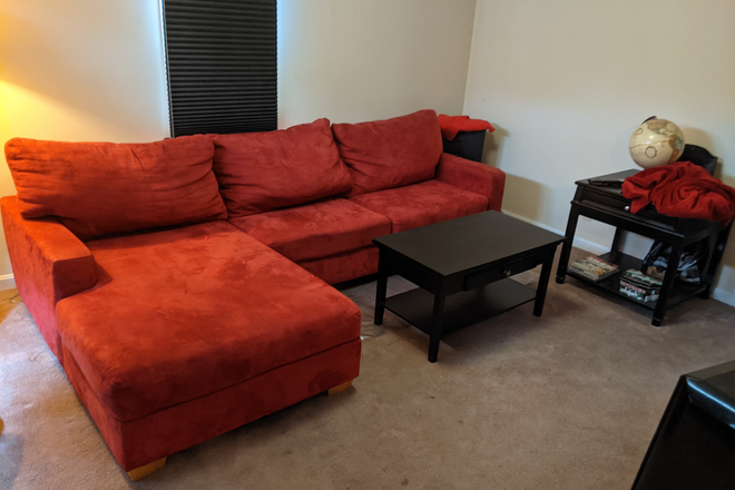 Living Room - 1 Bedroom Available in Spacious House 1.5 miles from UMD Campus