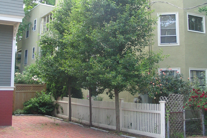 outside street view - $890/month available in Cambridge Apartments