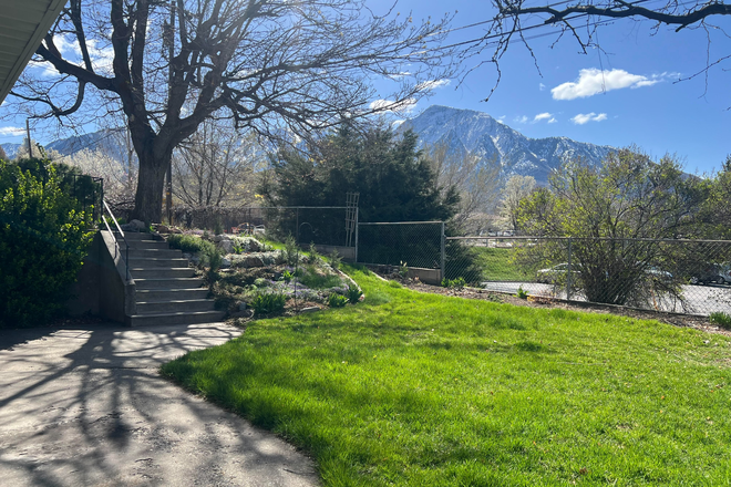 View from front door in Spring - Mt Olympus - 1500 sq ft walkout bsmt apt at base of Millcreek canyon, view of Mt Olympus