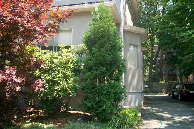 front - Fantastic location! Harvard yard, charming, porch, redline train