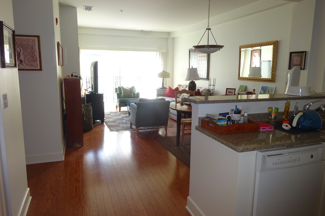 kitchen and living area - 1BR apt- Spring St House-Princeton