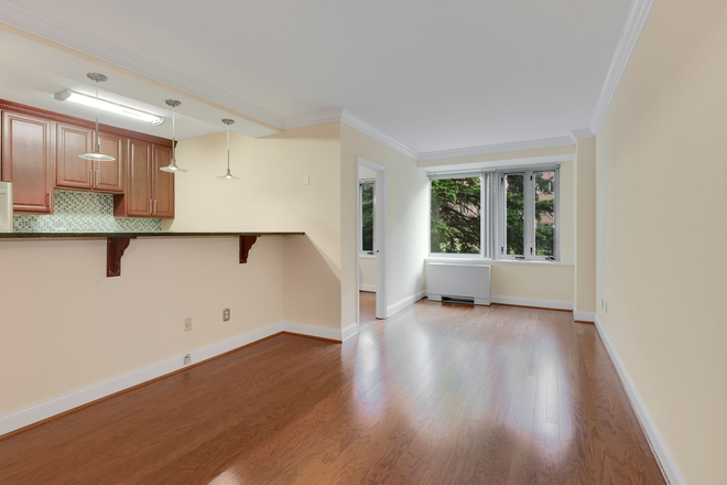 living area - Steps to American University - Renovated 2 Bedroom Apartment
