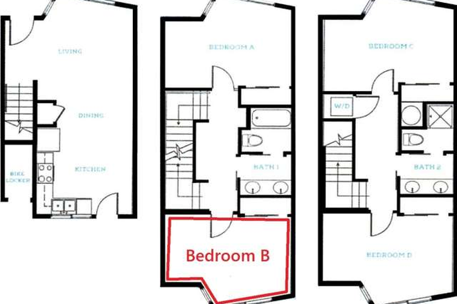 Layout - The Anthony