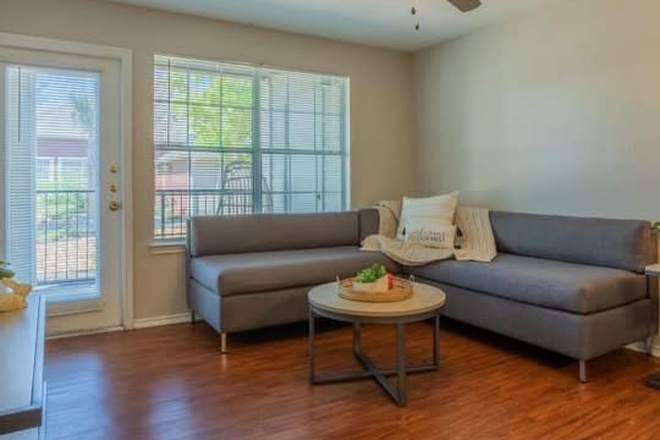 Living room - January 2025 sublease $796 2 Bedroom less than 5 minutes from campus! Apartments