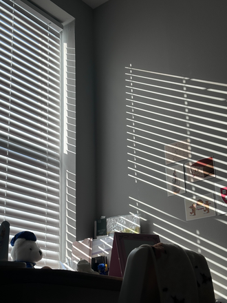 Bedroom (Good sunlight) - Newly renovated townhouse, near Johns Hopkins Homewood Campus