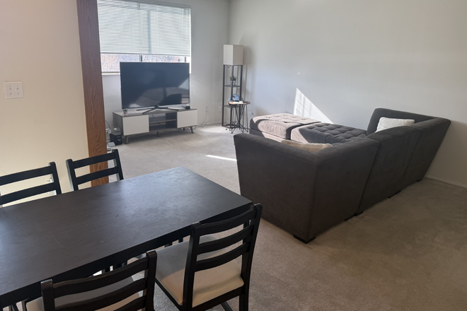 Living Area - Looking for roommate for appartment Apartments