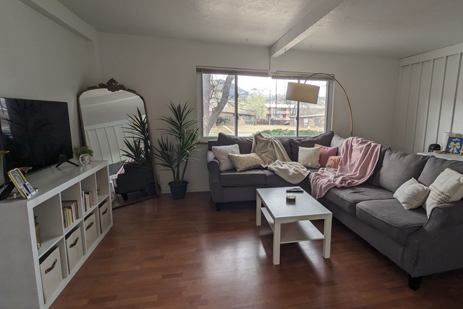 living room - Cute, furnished summer sublet, close to campus!