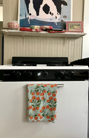 1 - SEPT 2026 - Wonderful Cambridge 1b/1b, Student Ok, No Broker Fee! Apartments