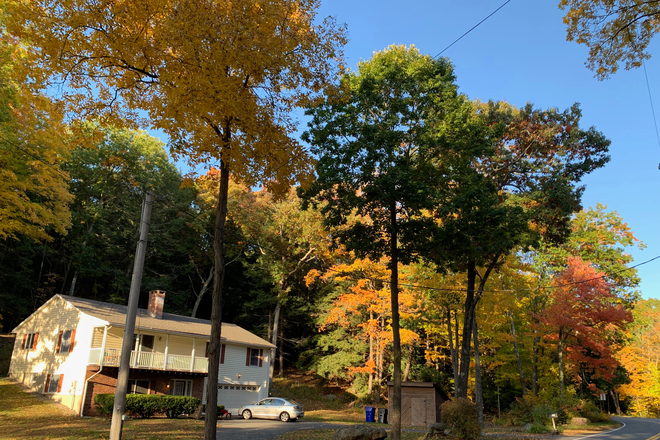 Street view of house - Sunny room in lovely furnished home by forest, $800