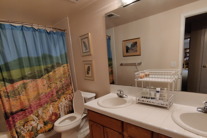 Bathroom to share - Student rental: Dayton Triangle Denver - 2027 Special rate available House