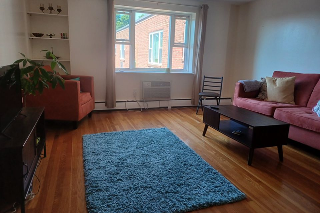 living room - Private room in beautiful, fully furnished apartment