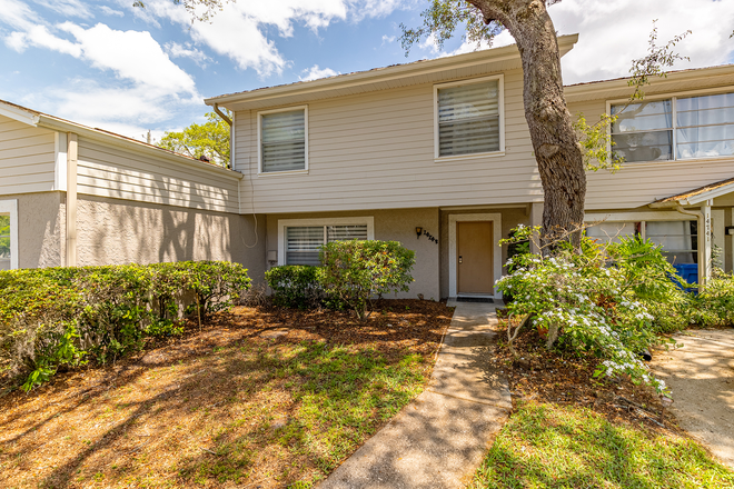 Walkway - 1.3 Miles from USF Campus! 💚 House