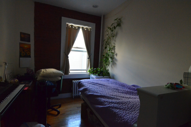 Bedroom - 2 Separate Bedrooms Eat in Kitchen  Renovate walk to Campus No Fee 9/1/26 Apartments