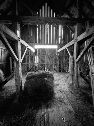 Hay Loft - SUNNY NORWICH STUDIO ON HORSE FARM House