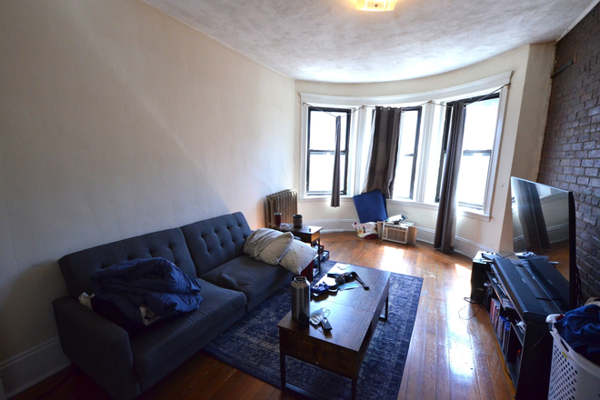 Living area - Beautiful & Cozy Studio on Westland Ave!  H&HW INCL! Avail 9/1/25 move in date Apartments