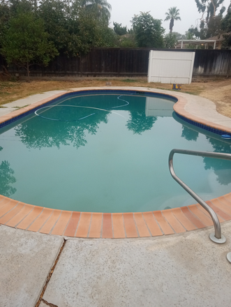 pool in backyard - Prince Albert House