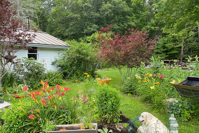 view from front yard - Leverett Rental